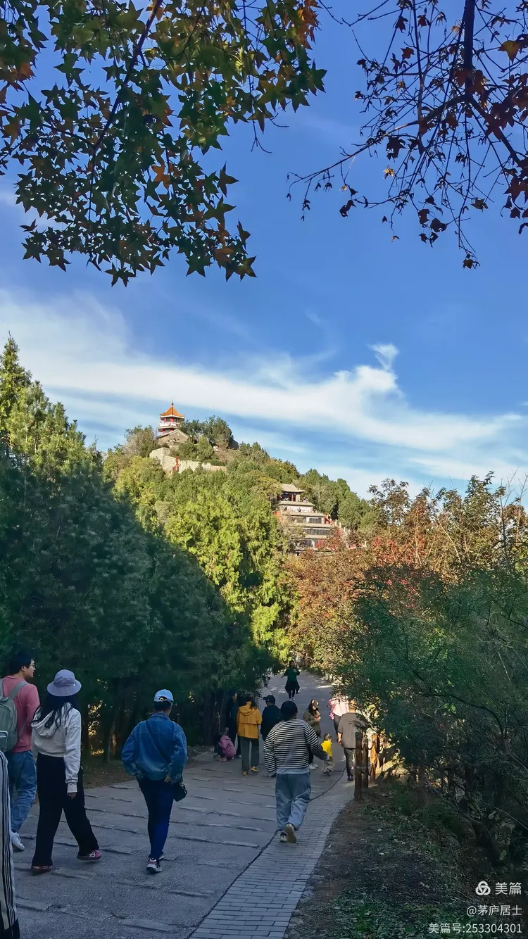 秋游百望山森林公园